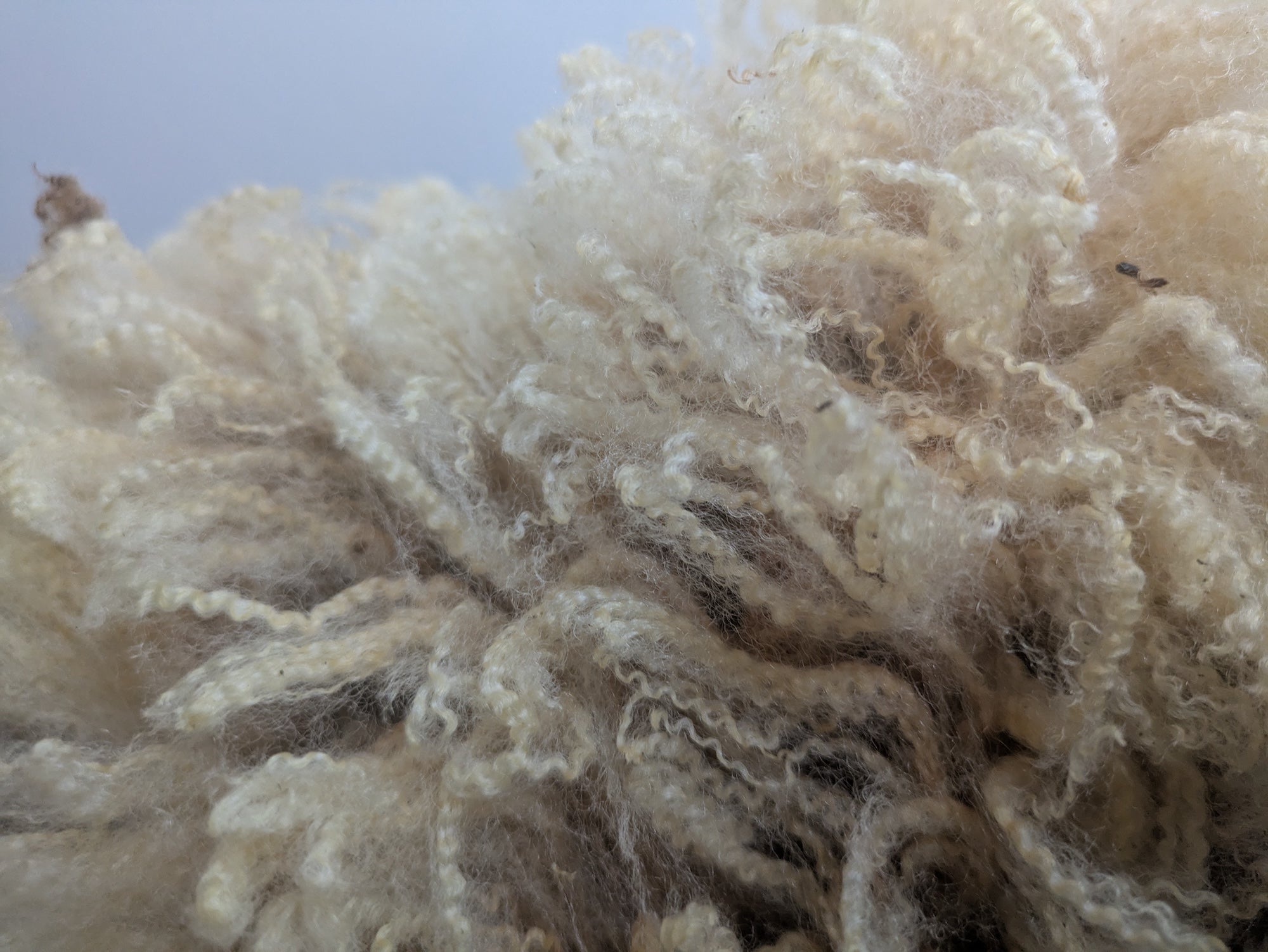 4 ply Yarn
