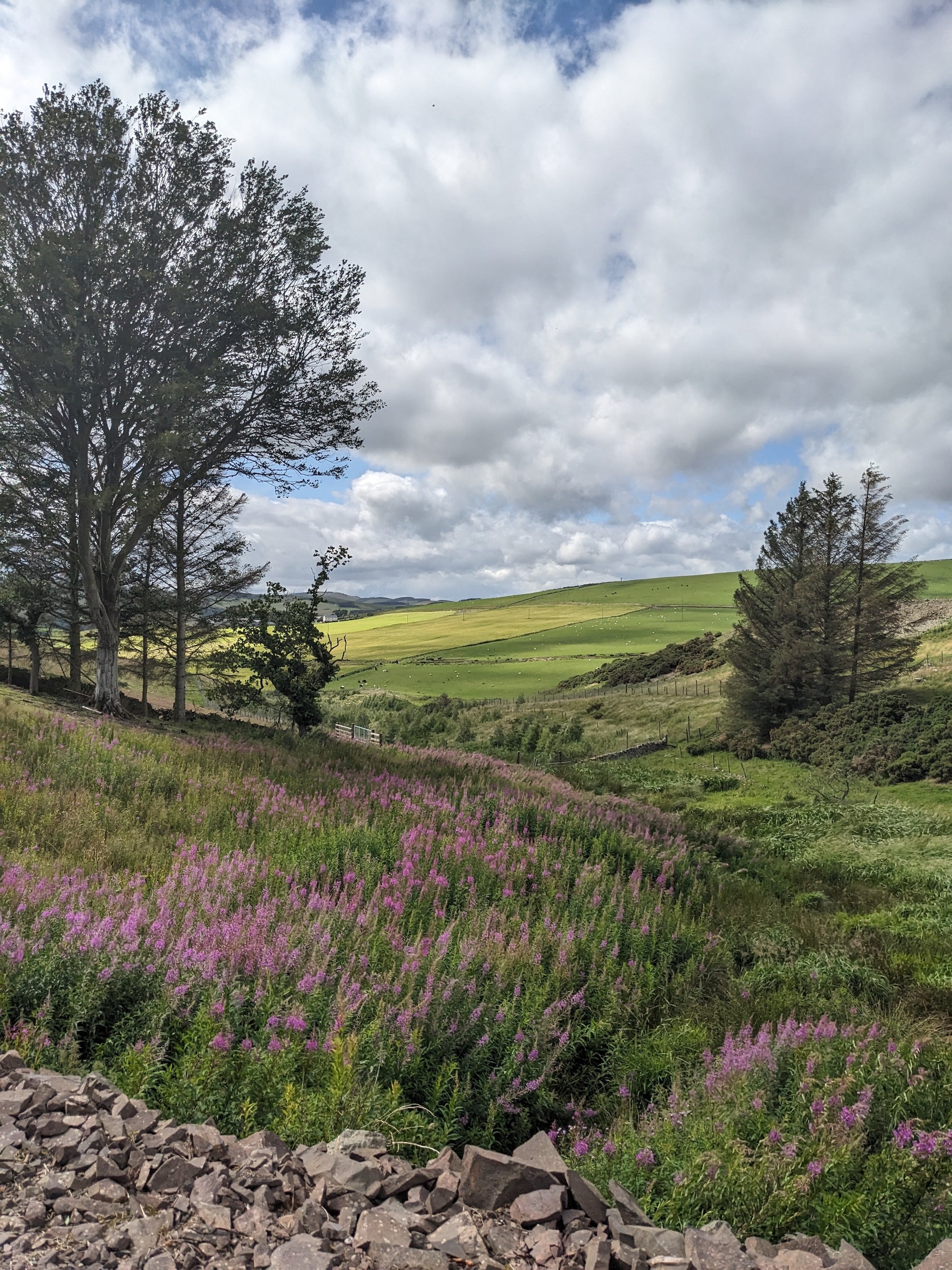 Scenic scottish landscape with pink flowers, trees, rolling hills and a cloudy sky.